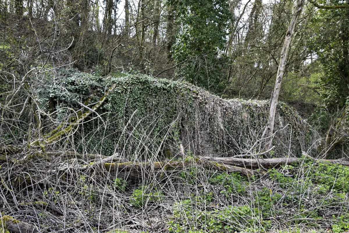 Ligne Maginot - B661 - BARTENHEIM NORD OUEST - (Blockhaus pour arme infanterie) - Coté Est