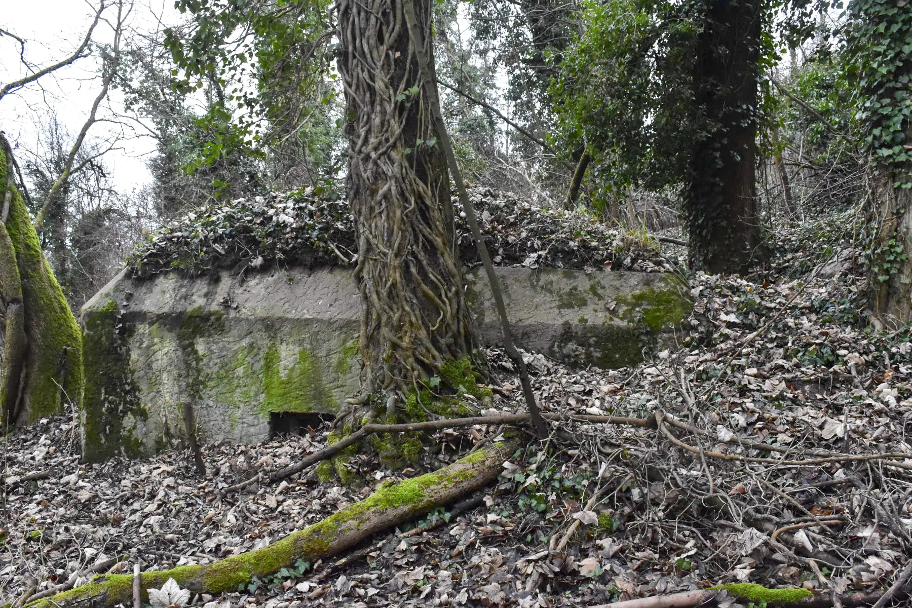 Ligne Maginot - BATTENHAEUSLEIN 5 - (Blockhaus pour arme infanterie) - Façade et créneau côté Nord