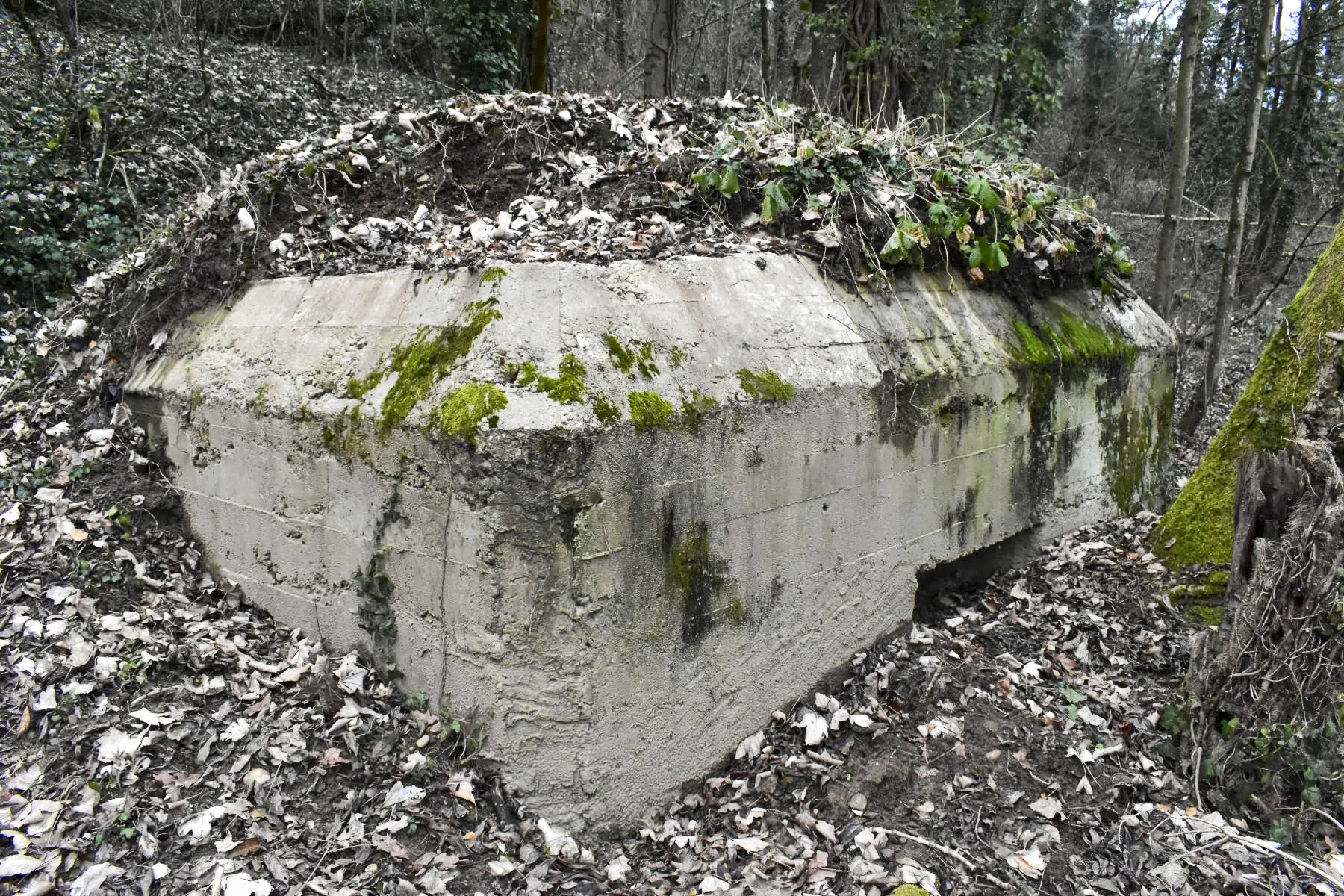 Ligne Maginot - BATTENHAEUSLEIN 5 - (Blockhaus pour arme infanterie) - Façade et créneau côté Est