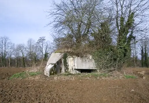 Ligne Maginot - D706 - HEGENHEIM 6 - (Blockhaus pour canon) - 
