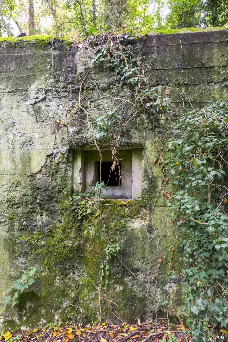 Ligne Maginot - ESCHENBACHGRABEN SUD - (Blockhaus pour arme infanterie) - 