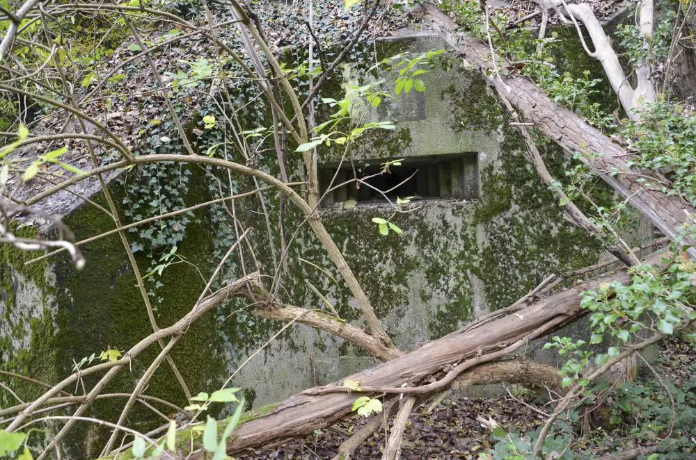 Ligne Maginot - HABERHAEUSER 2 - (Blockhaus pour arme infanterie) - Vue extérieure sur le créneau de tir au dessus duquel on voit une inscription