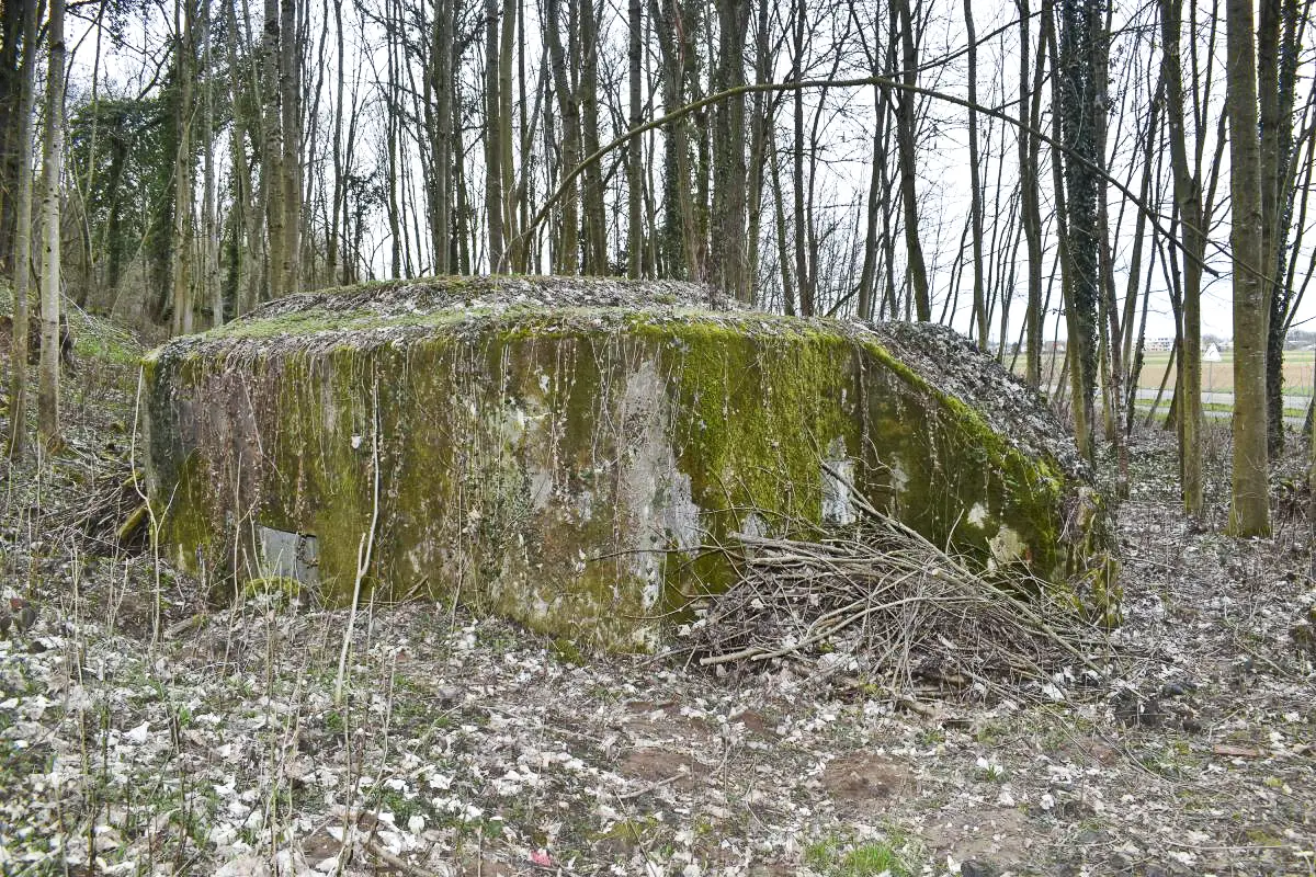 Ligne Maginot - HASELBERG - (Blockhaus pour arme infanterie) -  Coté ouest avec l'entrée et sud avec l'aération(le créneau mitrailleuse est masqué sous les branchages)