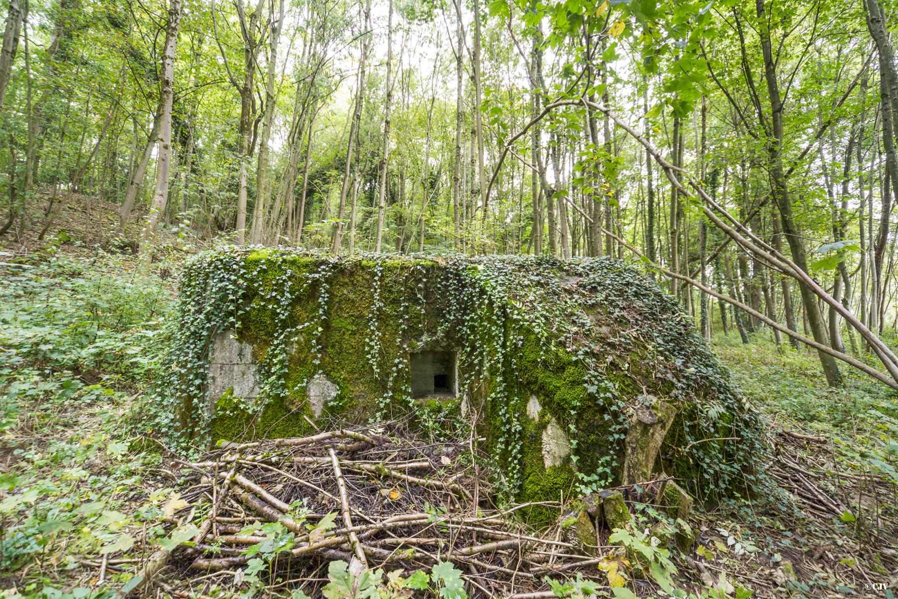 Ligne Maginot - HASELBERG - (Blockhaus pour arme infanterie) - 