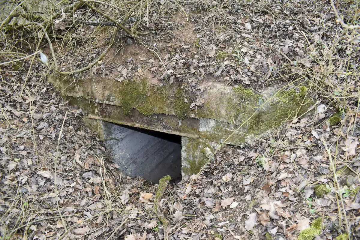 Ligne Maginot - SCHLAEGLE - (Position d'artillerie préparée) - Entrée abri A1-N (plan position)