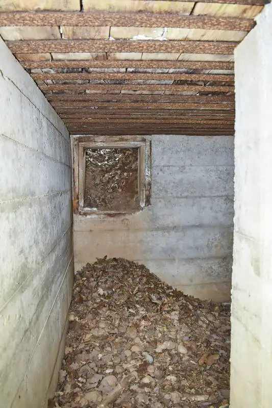Ligne Maginot - SCHLAEGLE - (Position d'artillerie préparée) - Intérieur de l'abris, A2-N (plan de position)