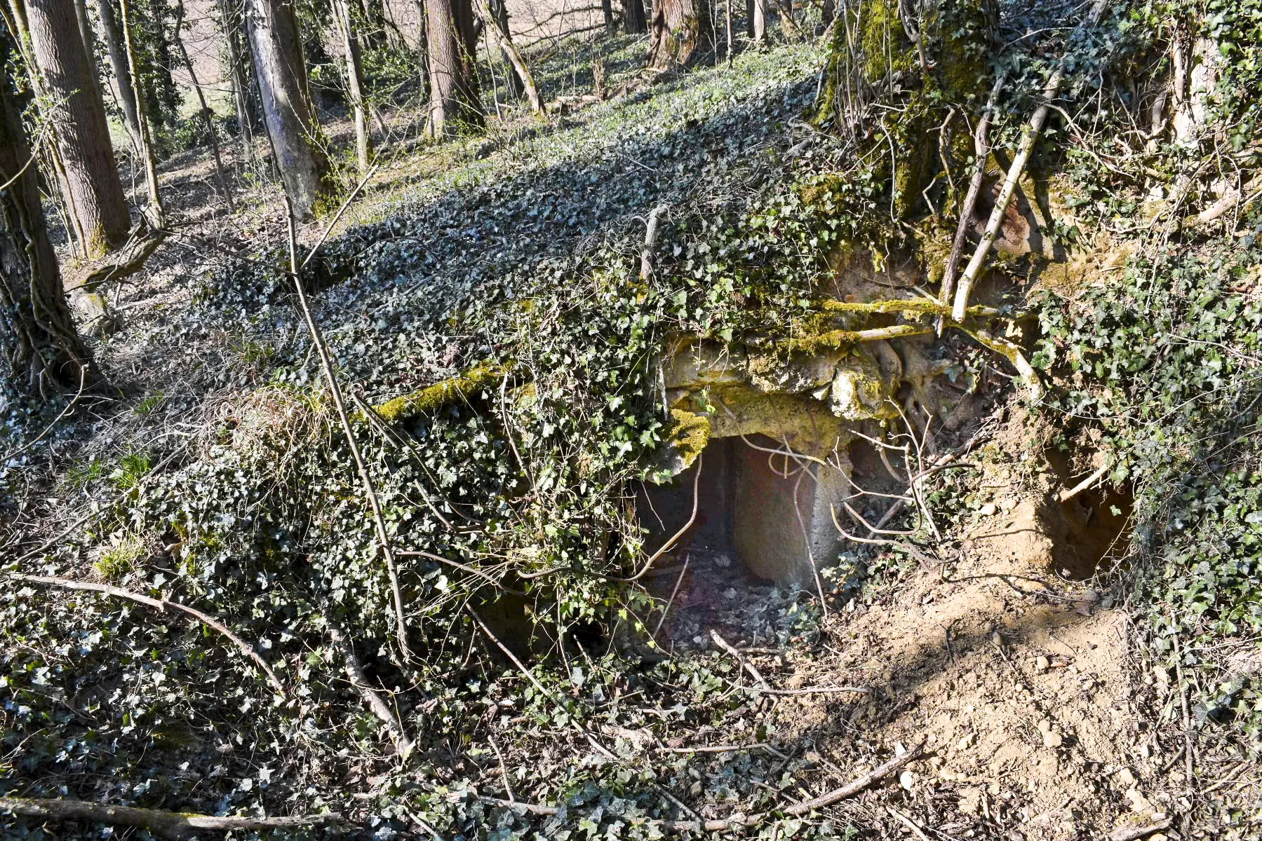 Ligne Maginot - VOGELSANG - (Position d'artillerie préparée) - Abri à munitions entrée sud