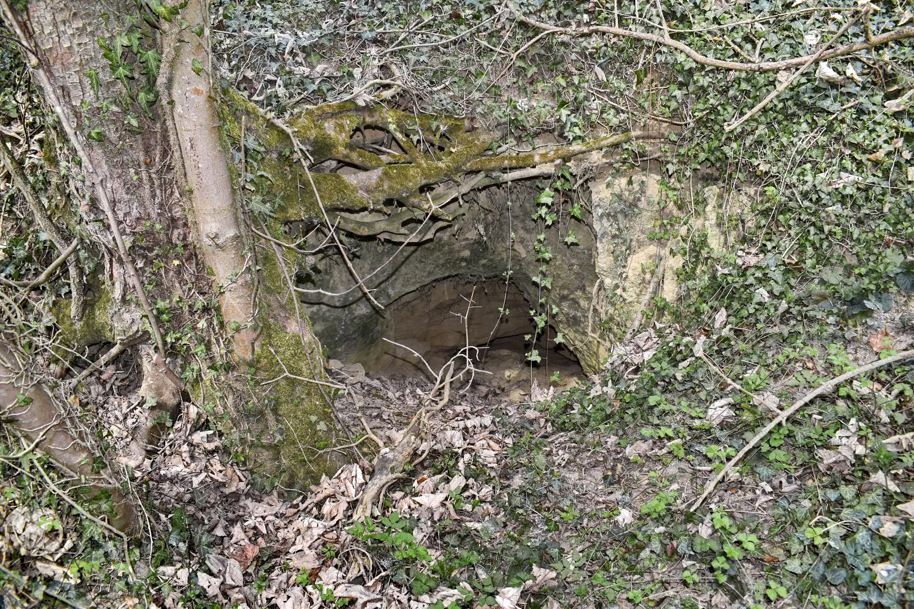 Ligne Maginot - VOGELSANG - (Position d'artillerie préparée) - Abri du bas