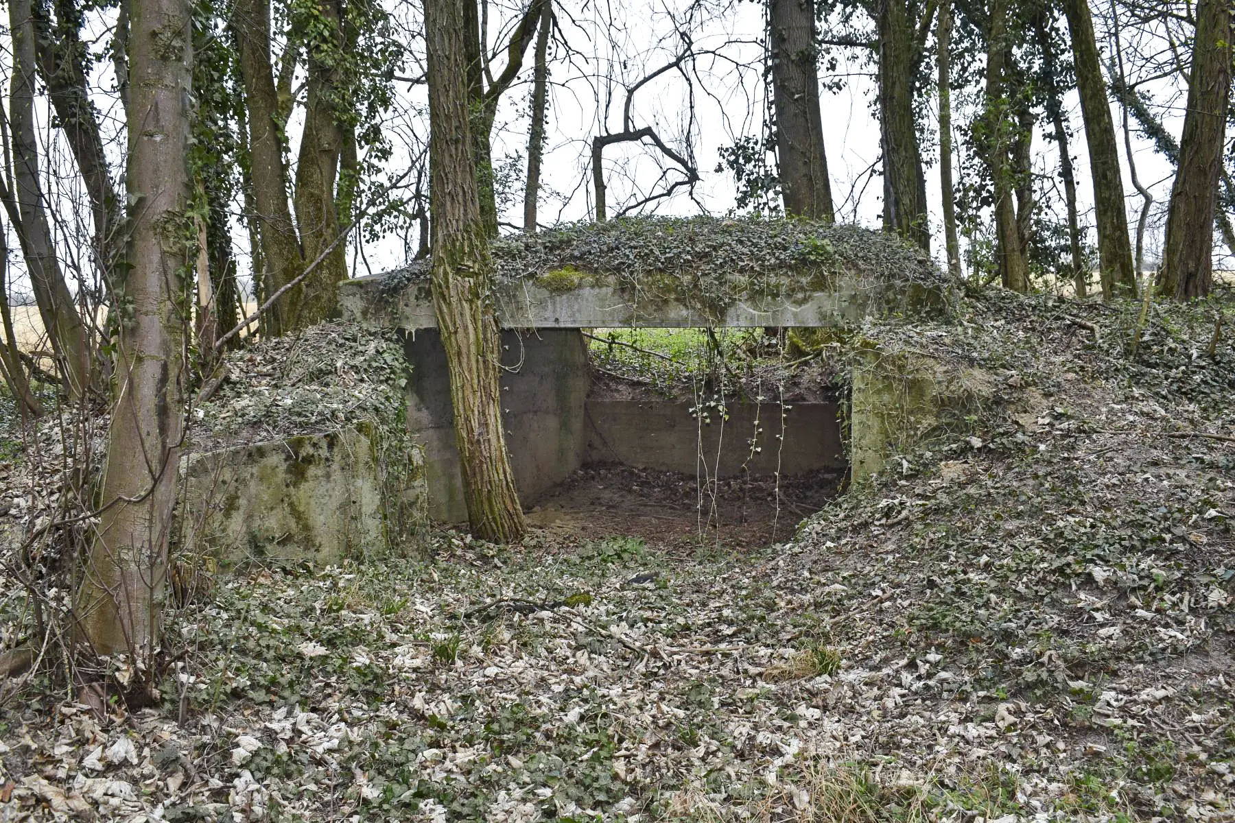 Ligne Maginot - VOGELSANG - (Position d'artillerie préparée) - Emplacement 3 avec la dalle