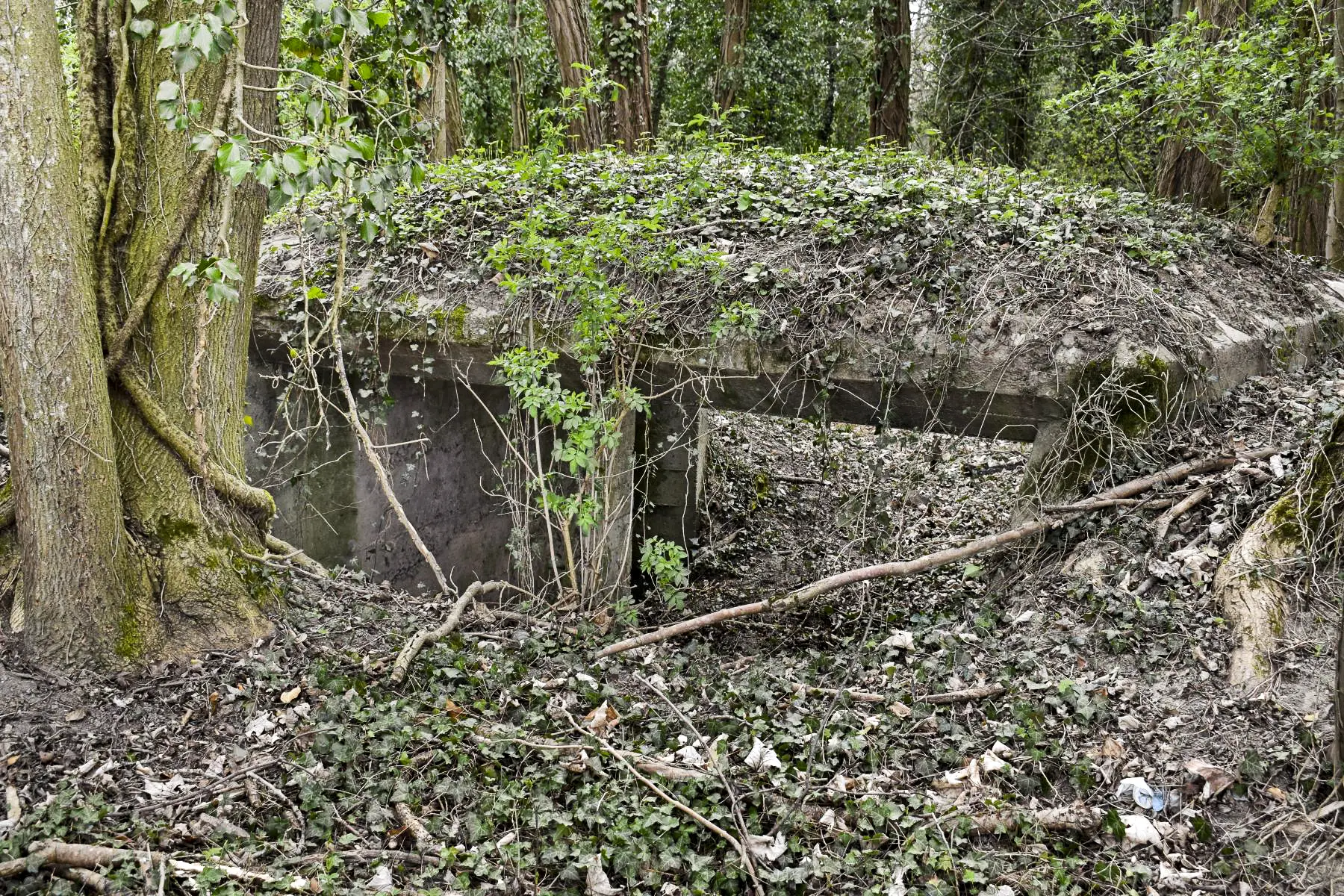 Ligne Maginot - VOGELSANG - (Position d'artillerie préparée) - Créneau de l'emplacement 3