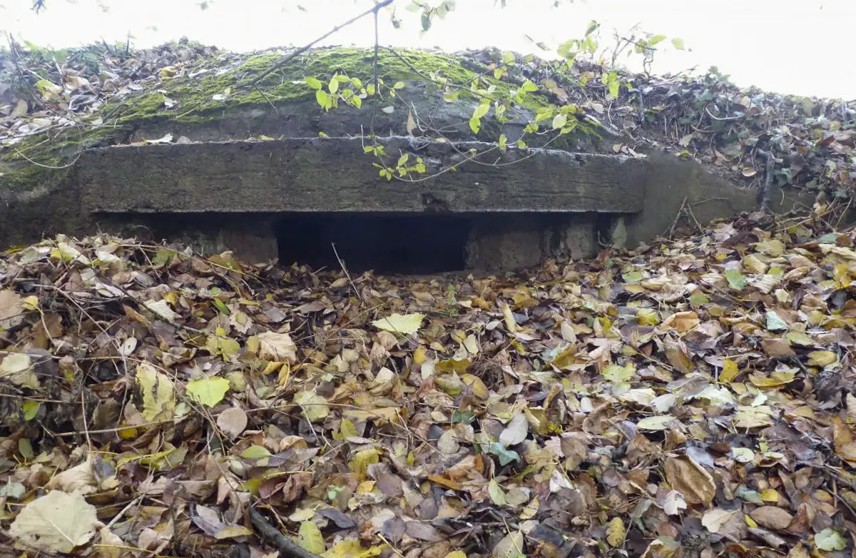 Ligne Maginot - B11 - BERMONT ECLUSE - (Blockhaus pour arme infanterie) - Coupole prise de face