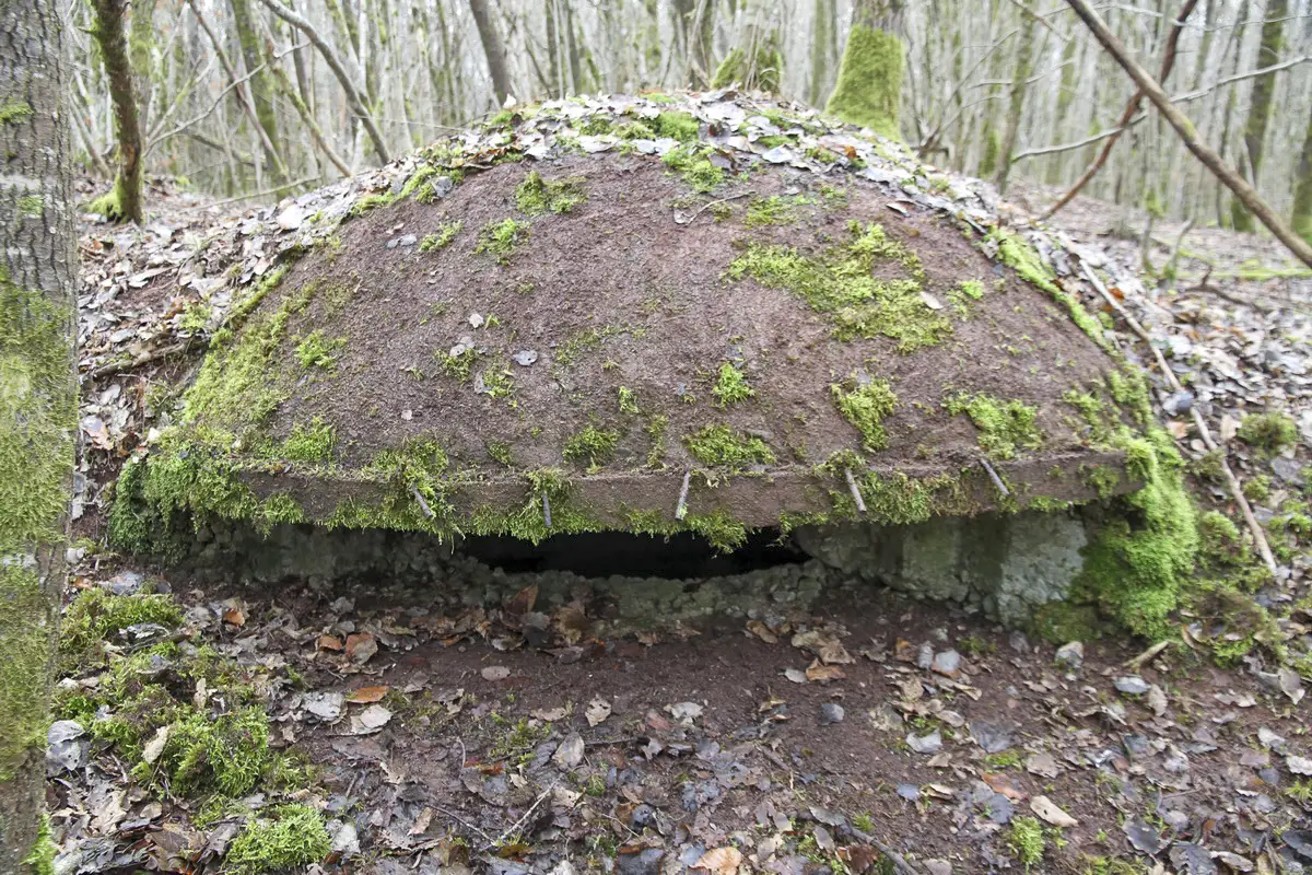 Ligne Maginot - B18-B - ETANG NEUF OUEST - (Blockhaus pour arme infanterie) - 