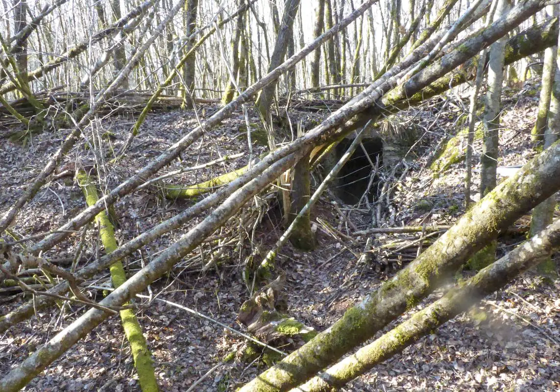 Ligne Maginot - B18-B - ETANG NEUF OUEST - (Blockhaus pour arme infanterie) - Entrée