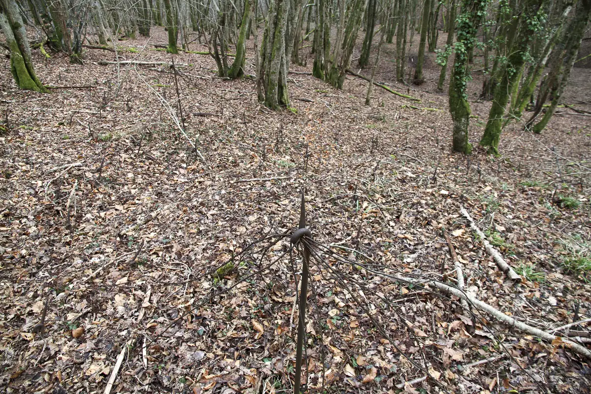 Ligne Maginot - B18 - ETANG-NEUF EST - (Blockhaus pour arme infanterie) - Le réseau est en place, dangereux