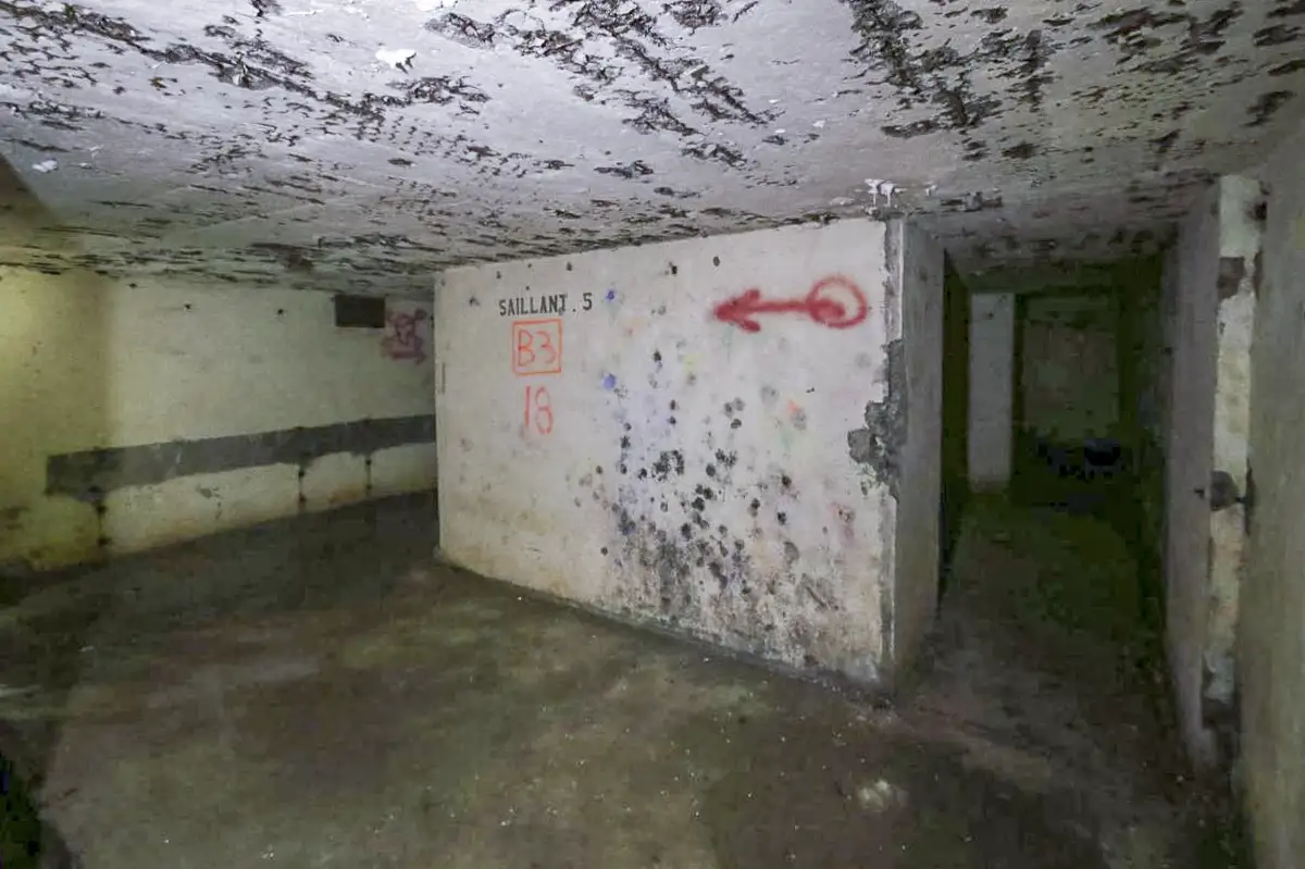 Ligne Maginot - FORT DE BOIS D'OYE - (Position d'artillerie préparée) - 