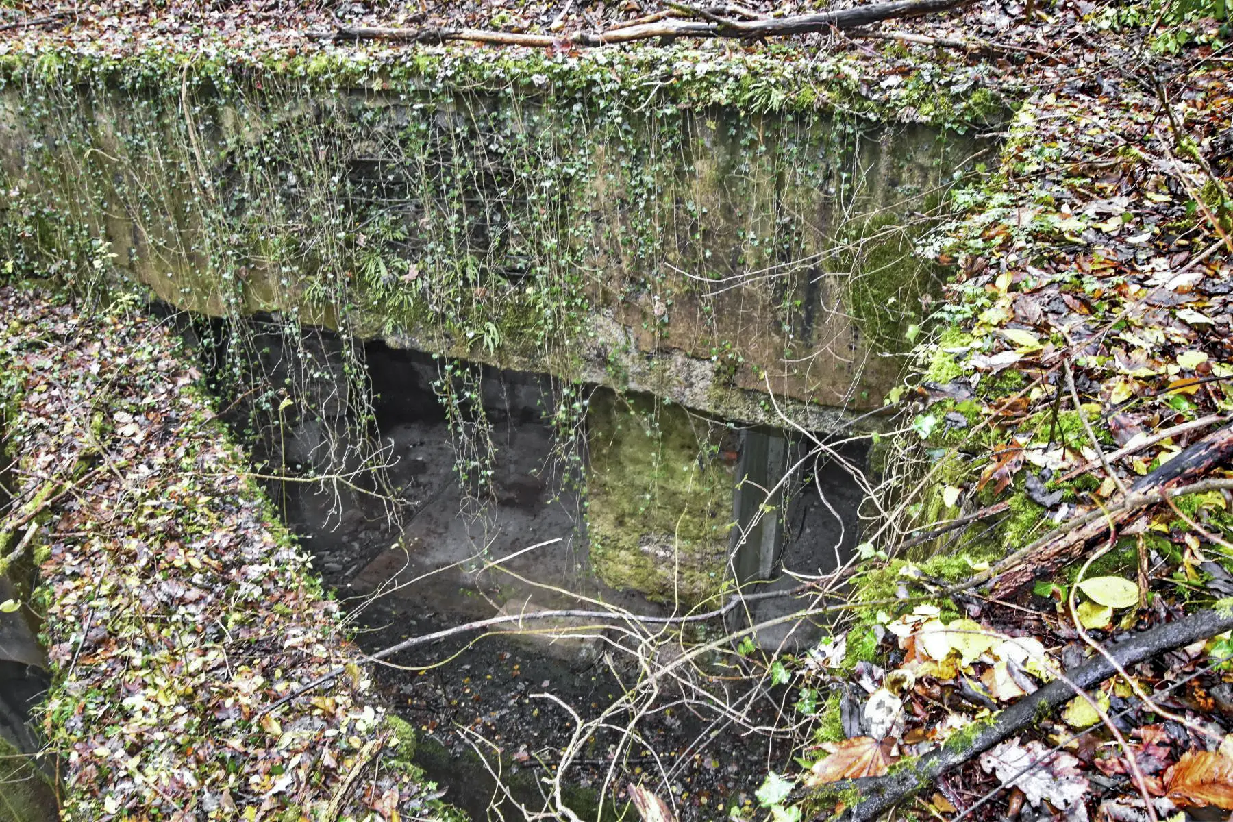 Ligne Maginot - FORT DE ROPPE - (Position d'artillerie préparée) - Le coffre du Saillant 4 détruit par l'explosion de 1932