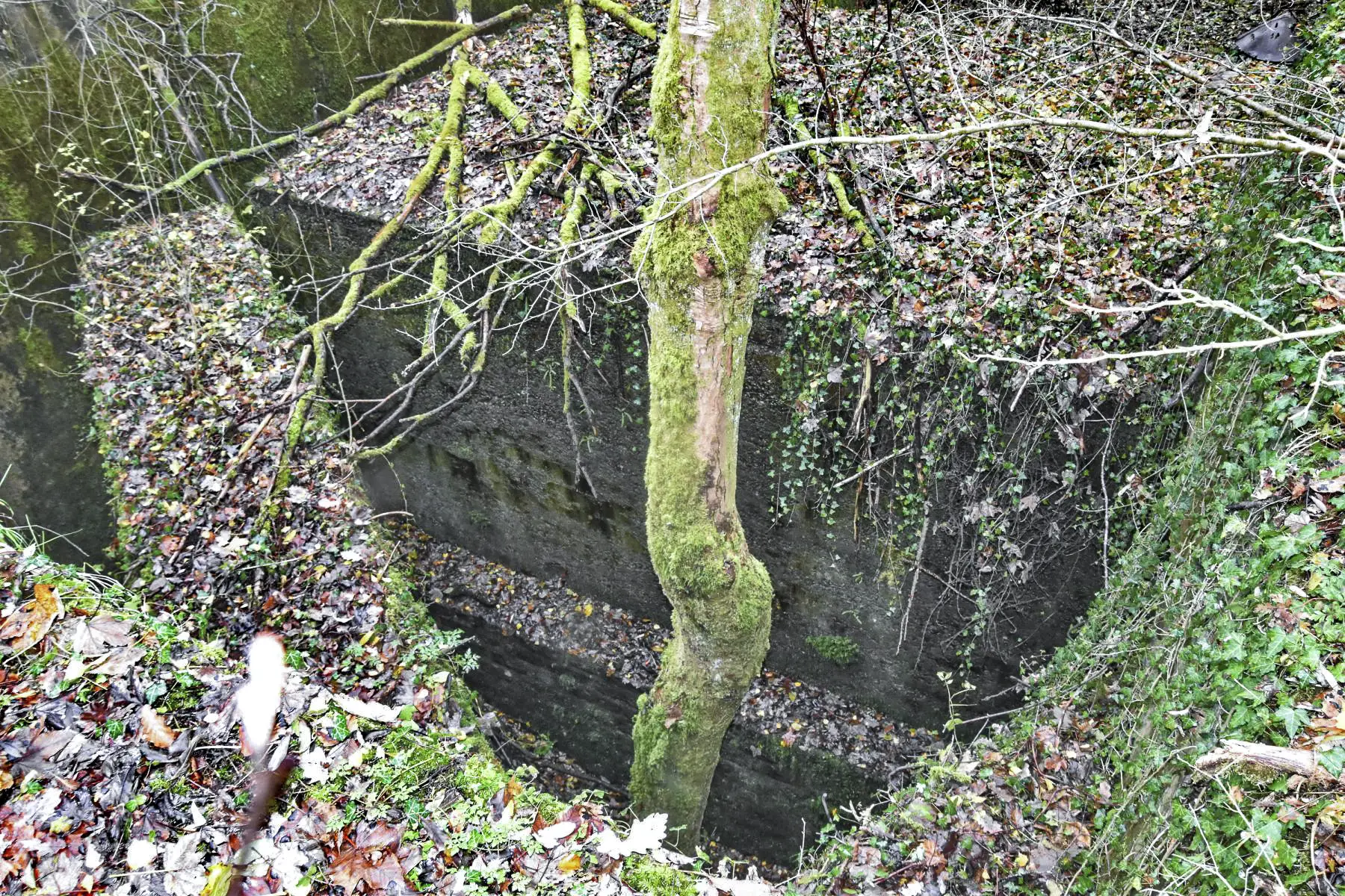 Ligne Maginot - FORT DE ROPPE - (Position d'artillerie préparée) - Vue du dessus du nouveau coffre
