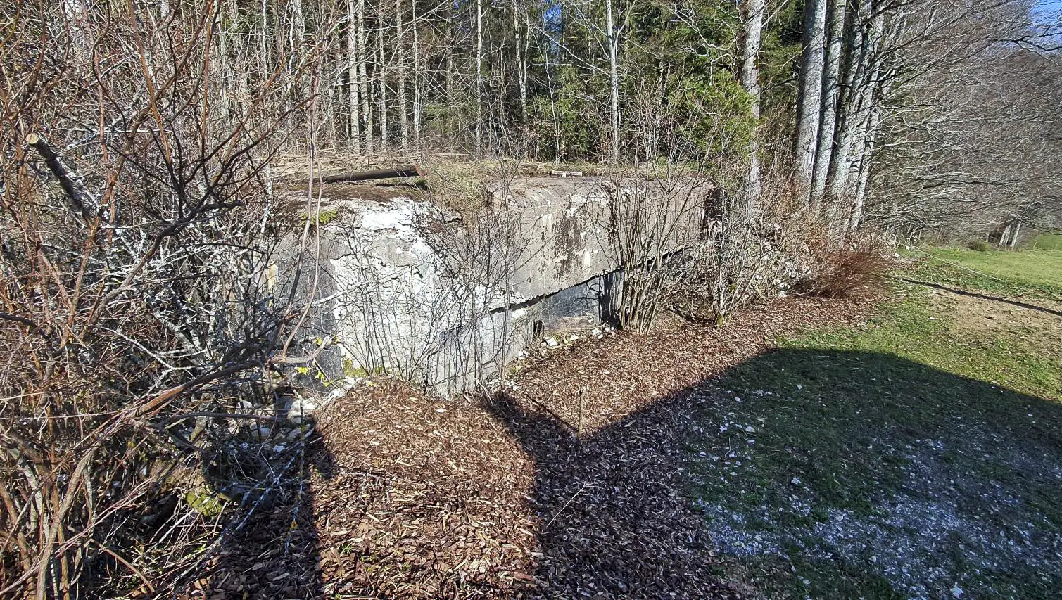 Ligne Maginot - B12 - LES LAILLETS EST - (Blockhaus de type indéterminé) - 