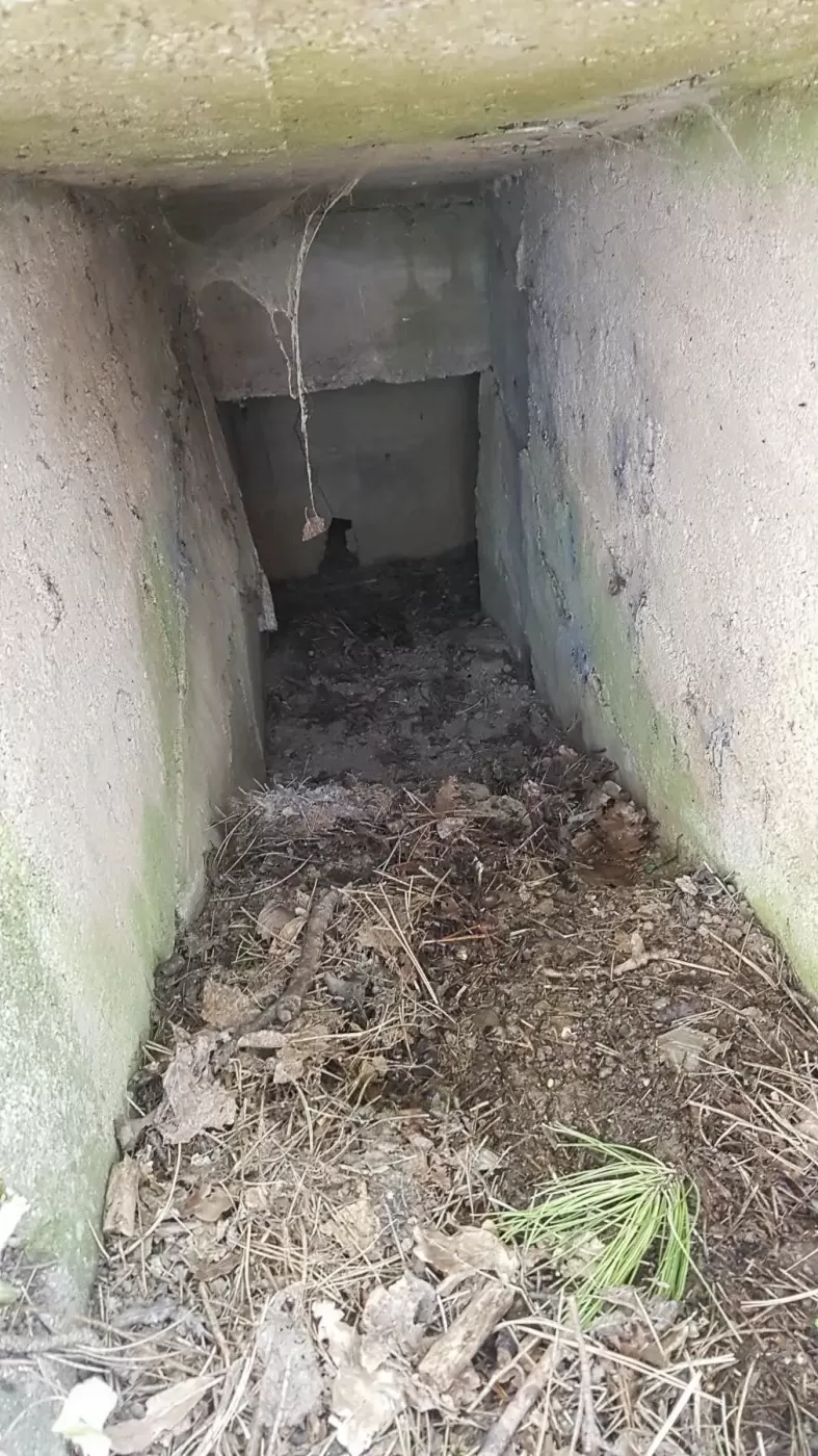 Ligne Maginot - GRILLY (II/9° RAD) - (PC) - L'entrée très étroite du bloc défensif. Partiellement ensevelie.
