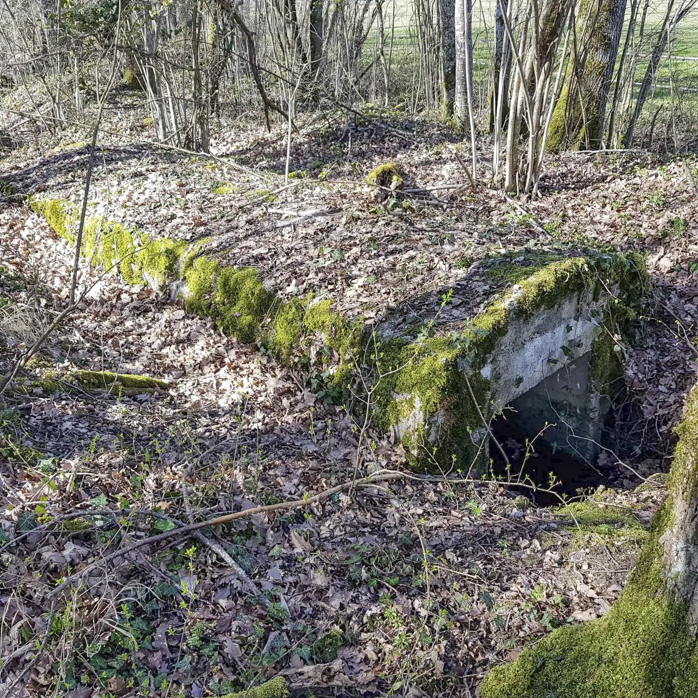 Ligne Maginot - GRILLY NORD (II/9° RAD) - Au bout d'une petite salle se trouve cette étrange ouverture sur l'extérieur.
