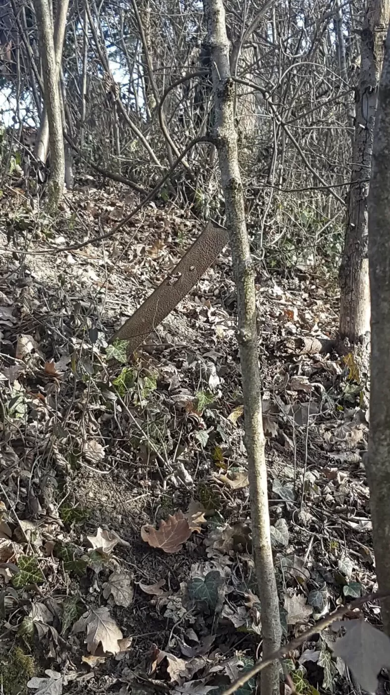 Ligne Maginot - LE MARAIS (? / 9°RAD) - (Position d'artillerie préparée) - 