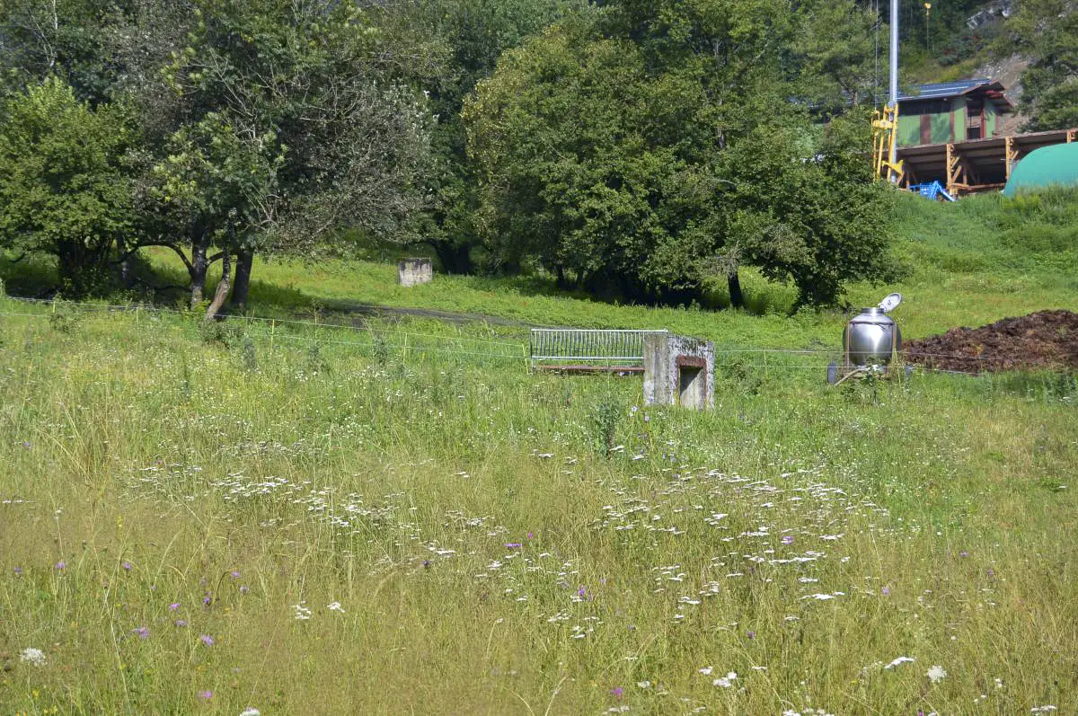 Ligne Maginot - L'ARBONNE - (Stand de tir) - 