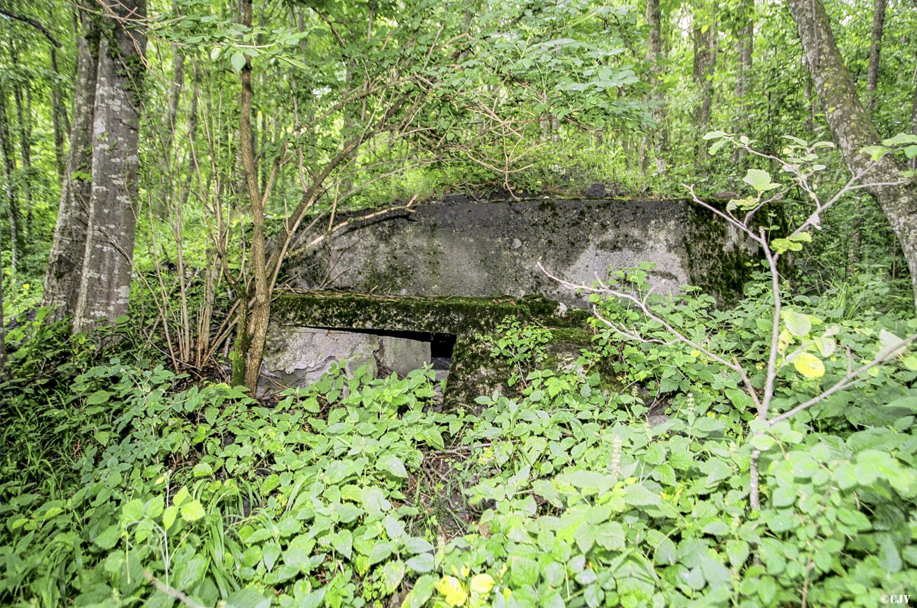 Ligne Maginot - LES GLIERES 1 - (Blockhaus pour arme infanterie) - 