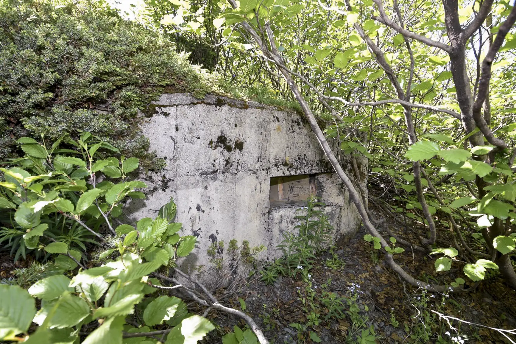 Ligne Maginot - PLAN DU REPOS 2 - (Blockhaus pour arme infanterie) - 