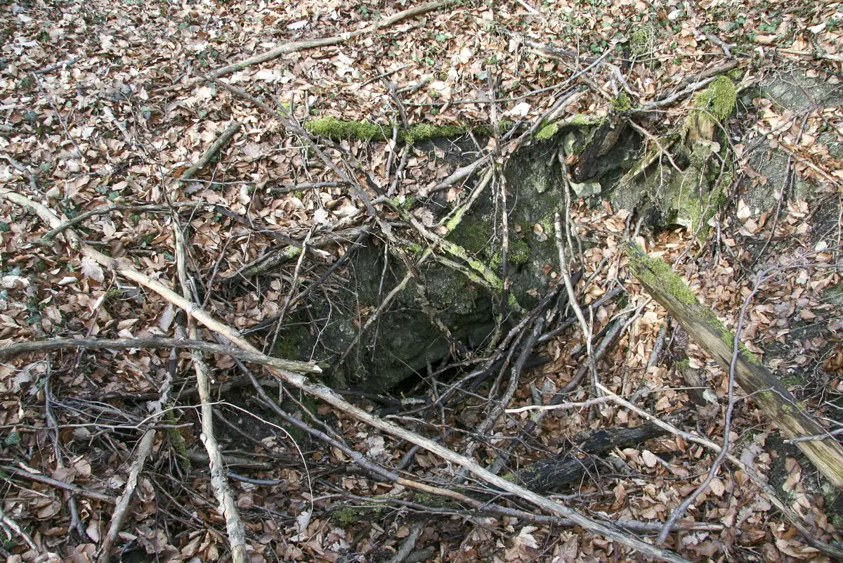 Ligne Maginot - GUNGLINGERBERG 9 - (Abri) - Quelques abris dans le secteur