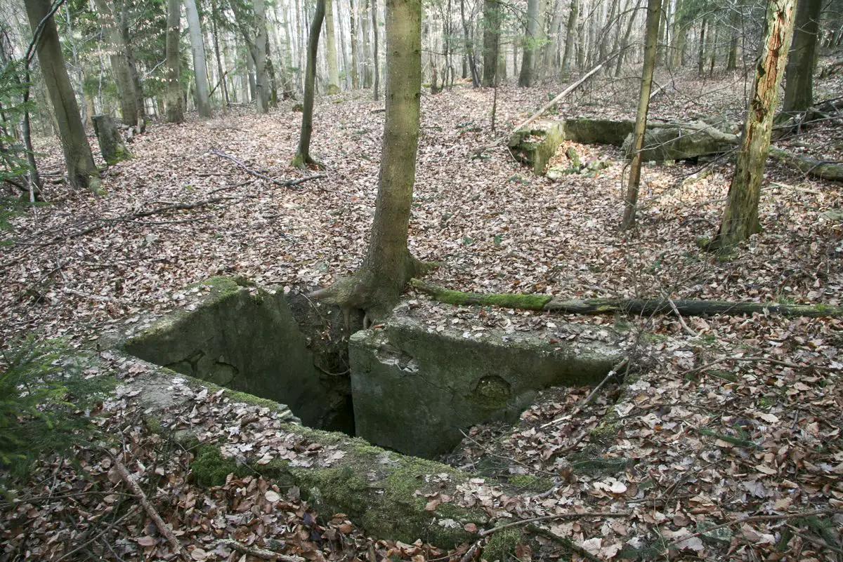 Ligne Maginot - GUNGLINGERBERG 9 - (Abri) - L'abri le mieux conservé
