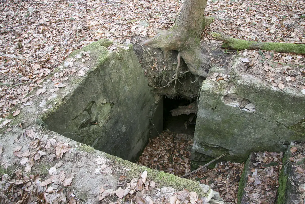 Ligne Maginot - GUNGLINGERBERG 9 - (Abri) - L'abri le mieux conservé
