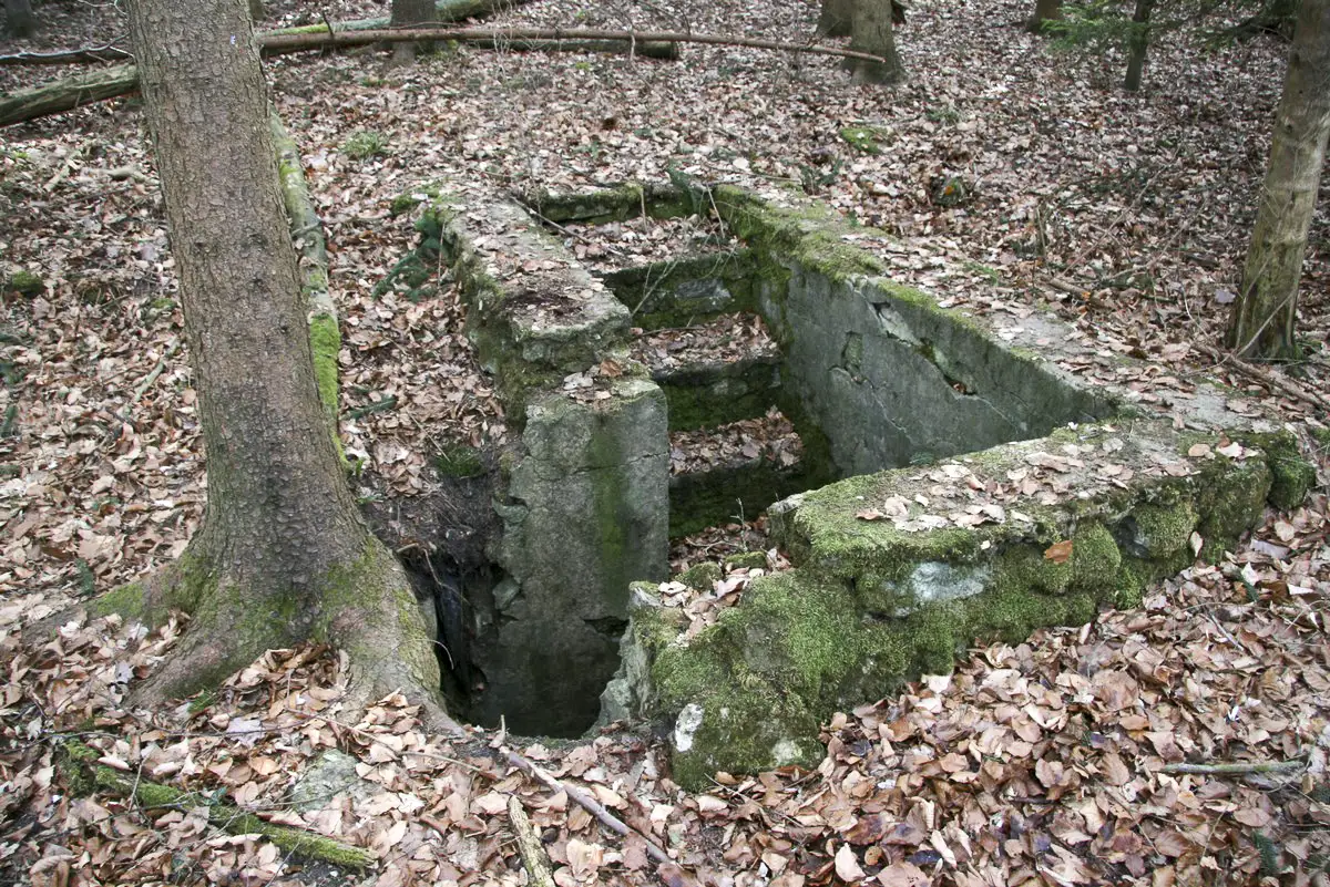 Ligne Maginot - GUNGLINGERBERG 9 - (Abri) - L'abri le mieux conservé