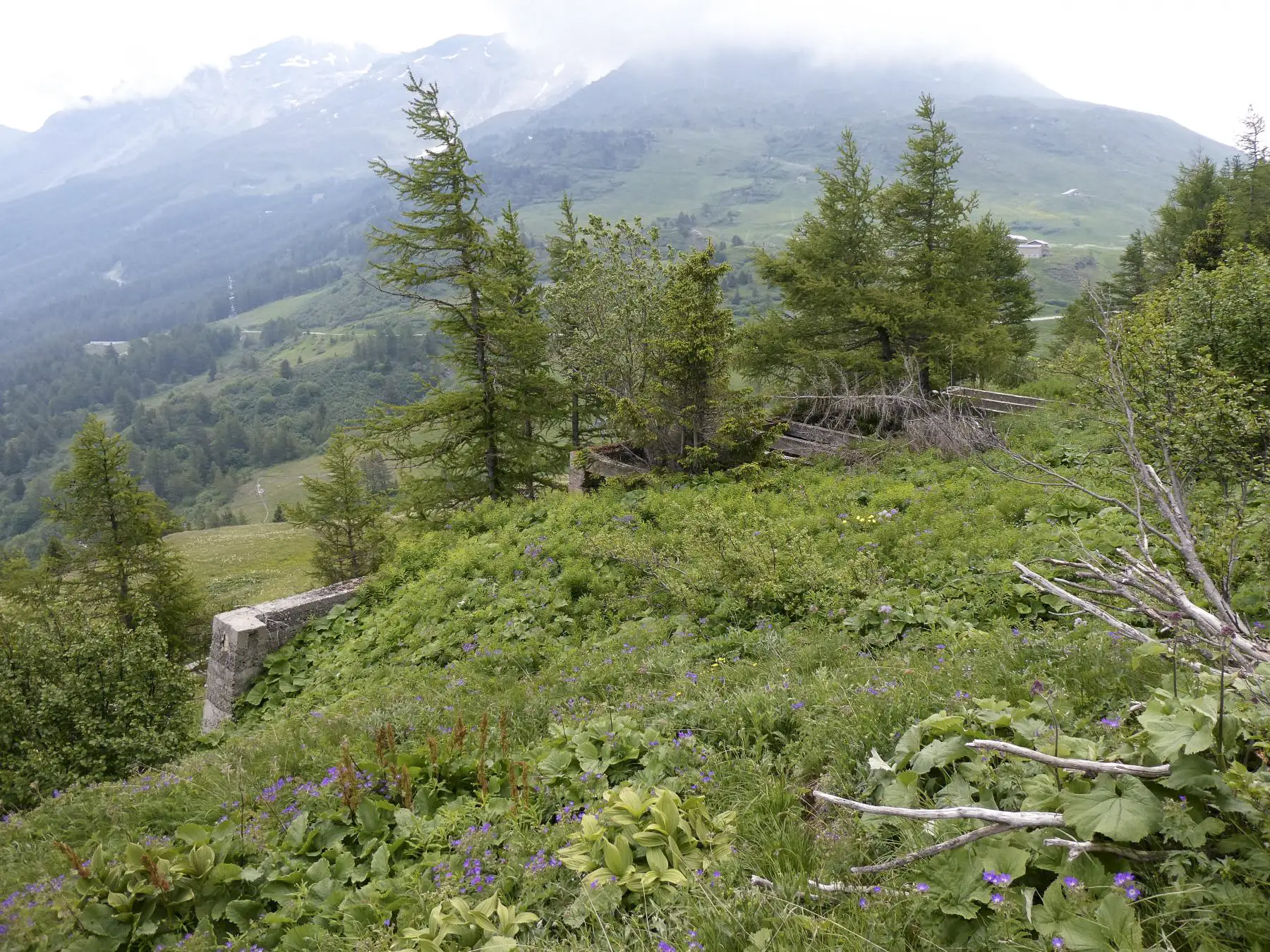 Ligne Maginot - REVETS - (Casernement) - 