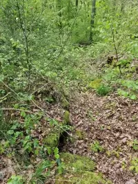 Ligne Maginot - WITZWALD 2 - (Cuve pour arme d'infanterie) - Les niches à munitions dans la tranchée