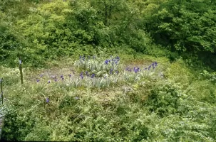 Ligne Maginot - SAINT ROCH - (Casernement) - L'ancien potager transformé par la suite en 'jardin'.