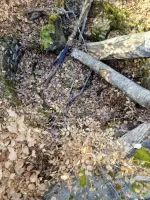 Ligne Maginot - LORENTZERWALD 3 - (Cuve pour arme d'infanterie) - Cuve pour arme d'infanterie