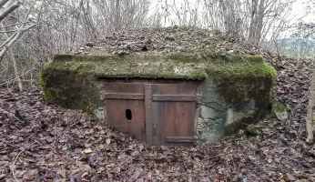 Ligne Maginot - C4 - EICHHOLTZ 2 - (Blockhaus pour canon) - L'entrée.
Le blockhaus est assailli par la végétation
