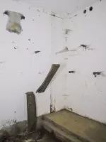 Ligne Maginot - I4 - (Chambre de coupure) - 