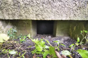 Ligne Maginot - FELDELE SUD - (Blockhaus pour arme infanterie) - 