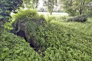 Ligne Maginot - FELDELE SUD - (Blockhaus pour arme infanterie) - 