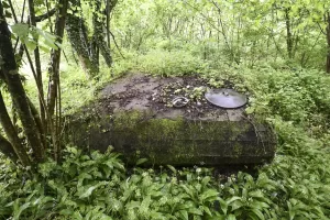 Ligne Maginot - FELDELE CENTRE - (Blockhaus pour arme infanterie) - 