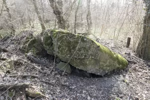 Ligne Maginot - FELDELE Nord - (Blockhaus pour arme infanterie) - 