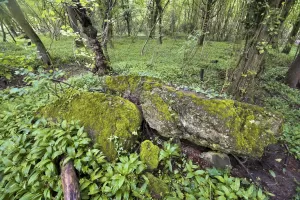 Ligne Maginot - FELDELE NORD - (Blockhaus pour arme infanterie) - 