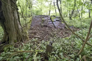 Ligne Maginot - FELDELE NORD - (Blockhaus pour arme infanterie) - 