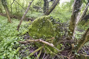 Ligne Maginot - FELDELE NORD - (Blockhaus pour arme infanterie) - 