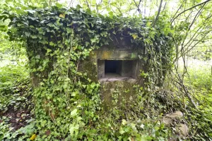 Ligne Maginot - BARRWALD OUEST - (Blockhaus pour arme infanterie) - 