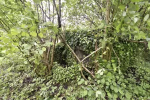 Ligne Maginot - BARRWALD OUEST - (Blockhaus pour arme infanterie) - 