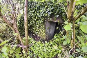 Ligne Maginot - BARRWALD OUEST - (Blockhaus pour arme infanterie) - 