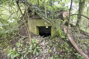 Ligne Maginot - HEIDENBERG 1 - (Blockhaus pour arme infanterie) - L'entrée