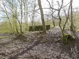 Ligne Maginot - CB310 - ZEITERHOLZ - (Blockhaus pour arme infanterie) - Une vue de l'arrière.